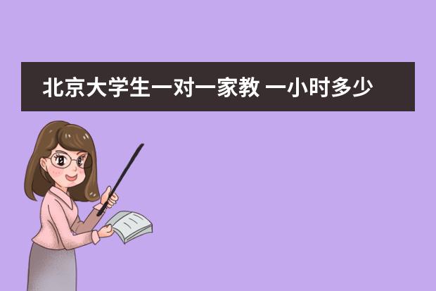 北京大学生一对一家教 一小时多少钱（211、985之类的）